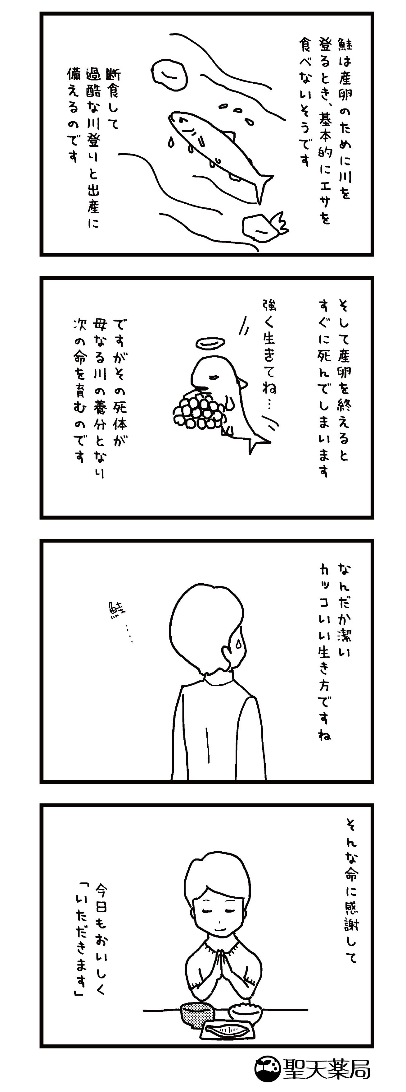 「美」と「健康」マンガ ～ サーモンLOVE② ～のマンガ