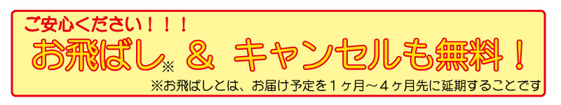 でも大丈夫!