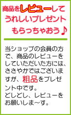 ʥӥ塼Ǥʤң: ѥ򥲥åȡ